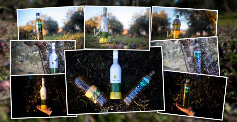 Lee más sobre el artículo Descubra los beneficios para la salud del aceite de oliva virgen extra