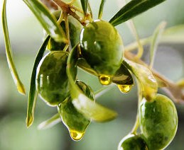 Lee más sobre el artículo ¿Caduca el aceite de oliva?