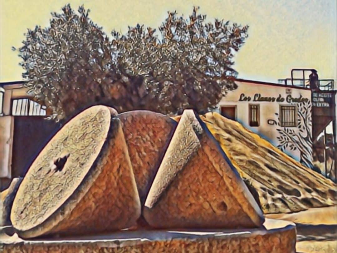 LOS LLANOS DE GREDOS