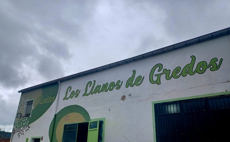 Lee más sobre el artículo De la Almazara a tu mesa: Aceite de Oliva Virgen Extra directo del Productor