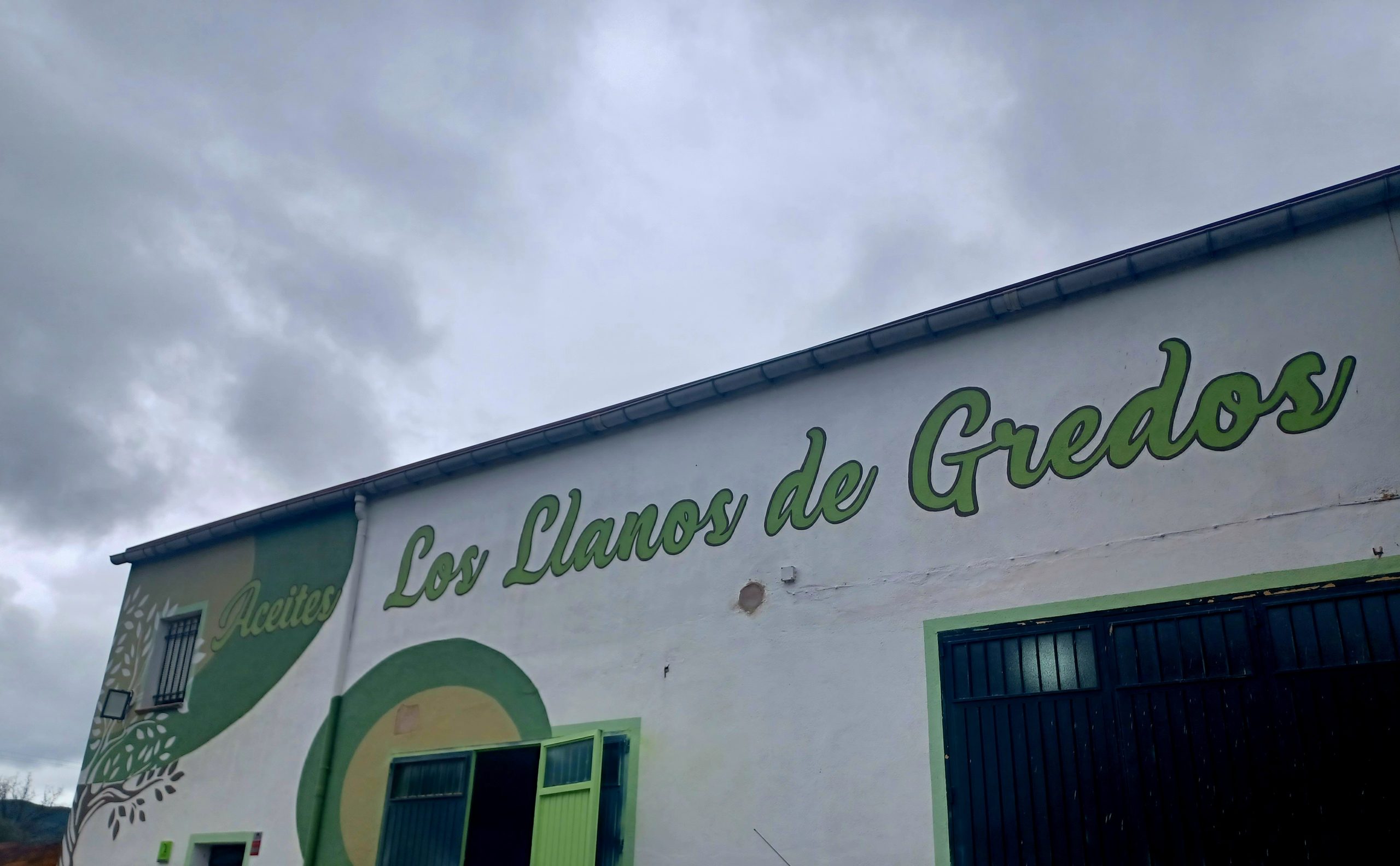 Lee más sobre el artículo De la Almazara a tu mesa: Aceite de Oliva Virgen Extra directo del Productor