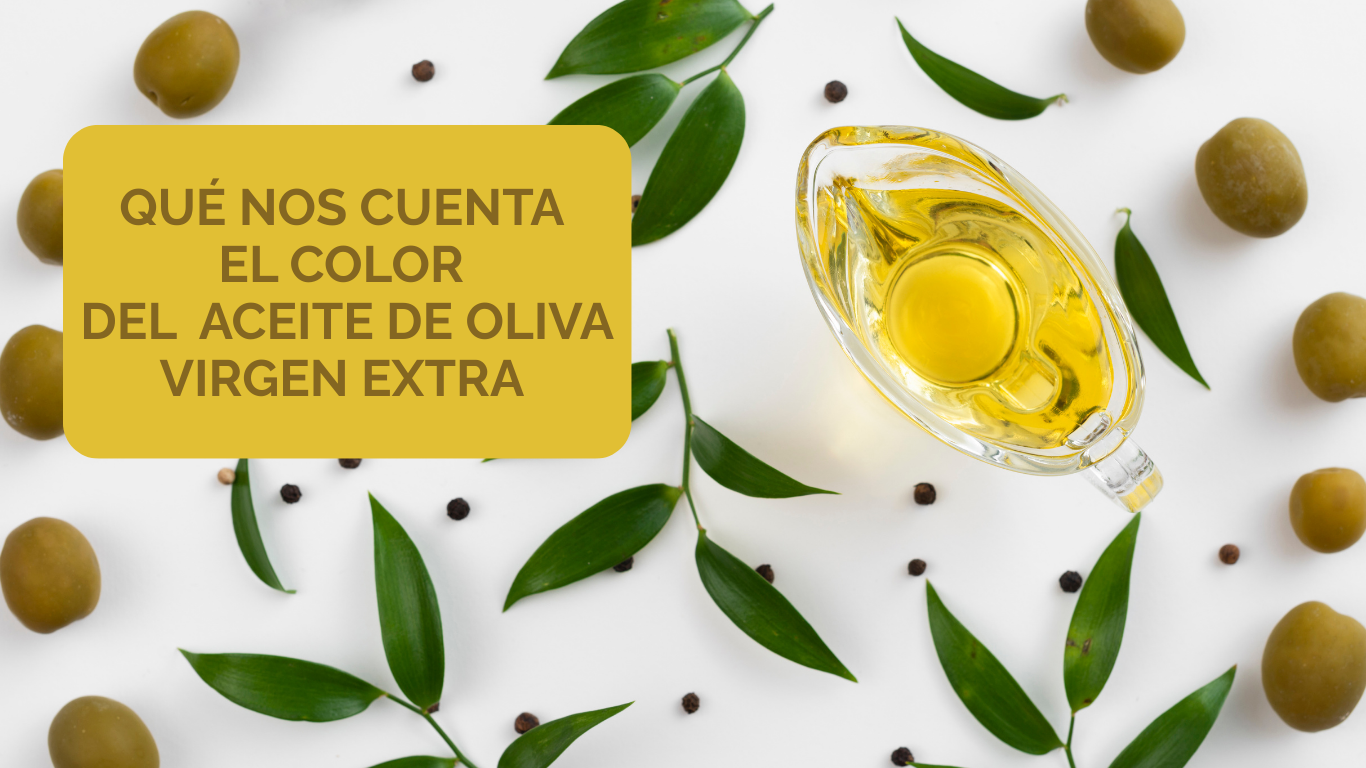 Lee más sobre el artículo EL COLOR DEL ACEITE DE OLIVA VIRGEN EXTRA
