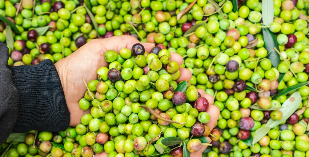 f5ed0cc7 8453 4586 b126 94947695f8d5